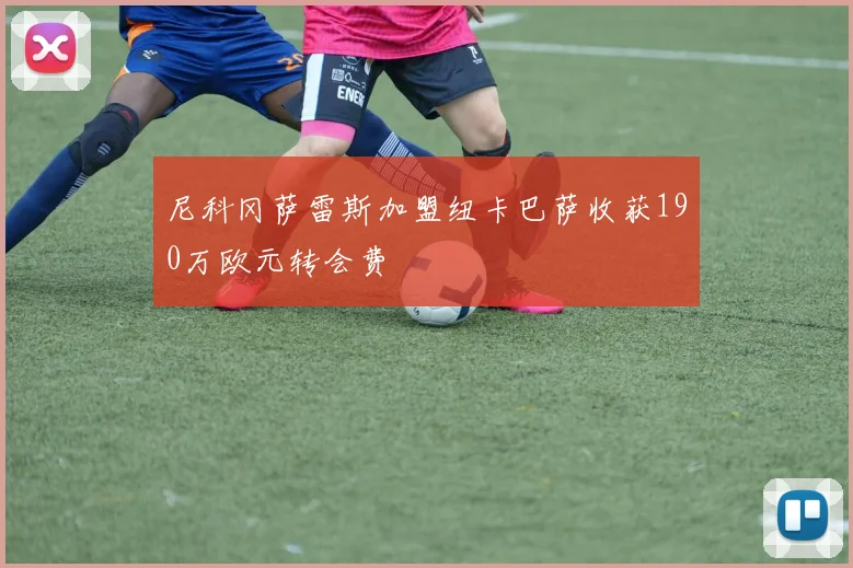 尼科冈萨雷斯加盟纽卡巴萨收获190万欧元转会费